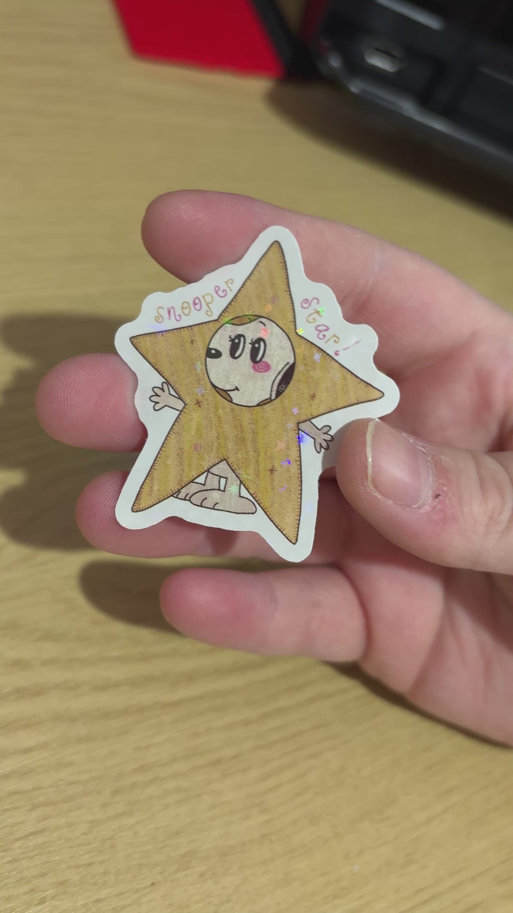 snooper star holo sticker