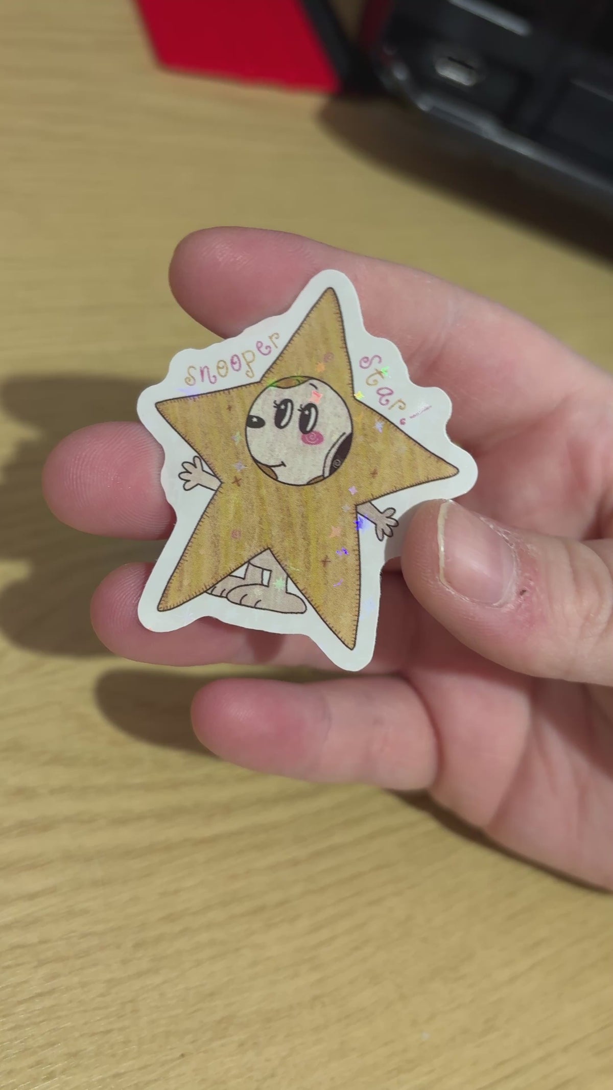 snooper star holo sticker